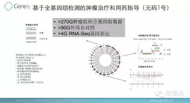 【揭秘】清华大数据思享会-精准医疗专场_java_13