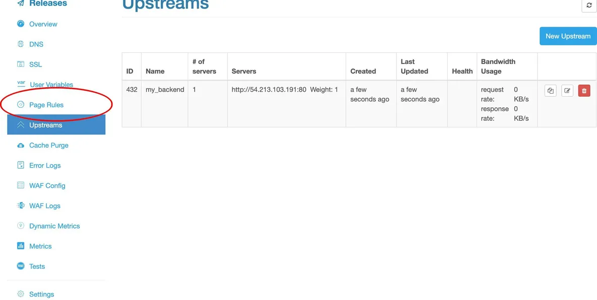 Set up a Simplest Reverse Proxy and Load Balancer_java_24