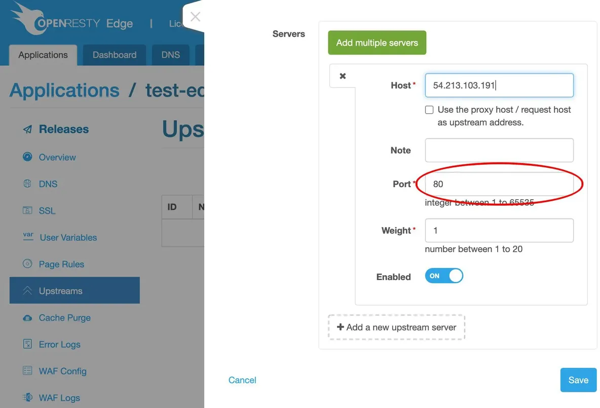 Set up a Simplest Reverse Proxy and Load Balancer_java_20