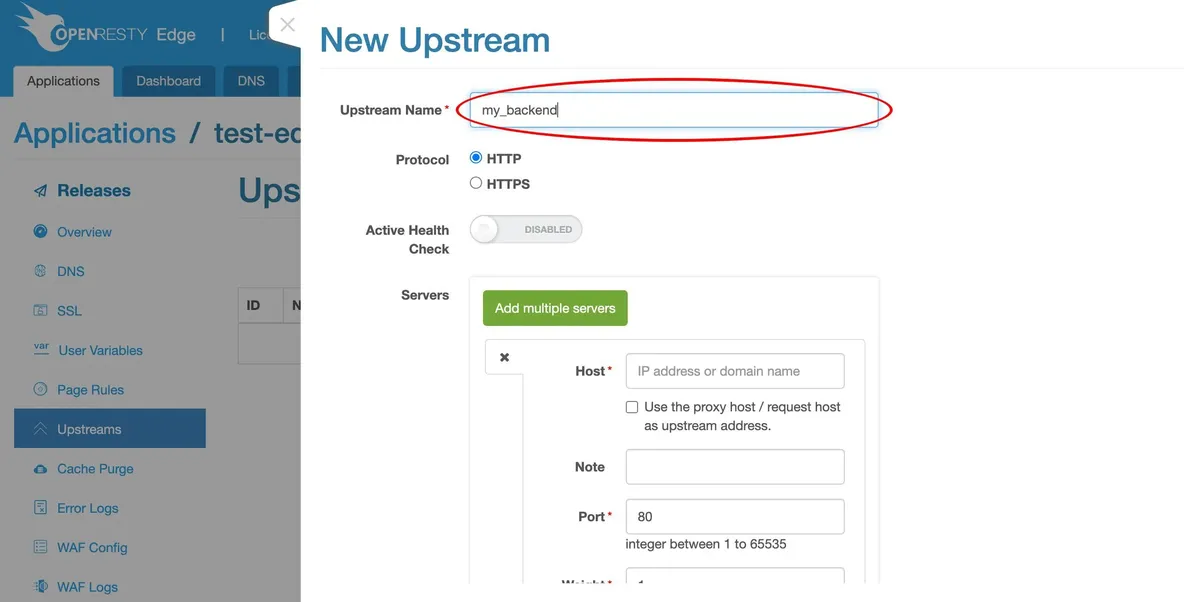 Set up a Simplest Reverse Proxy and Load Balancer_java_13