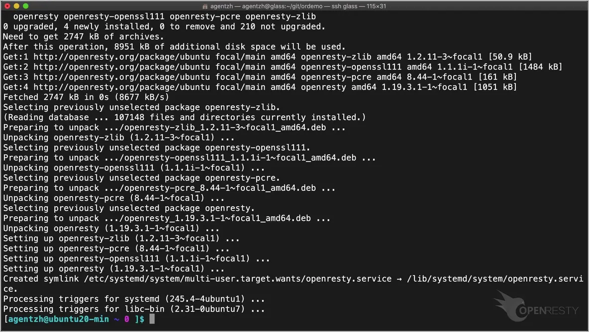 Install OpenResty on Ubuntu 20.04 via apt-get_java_09