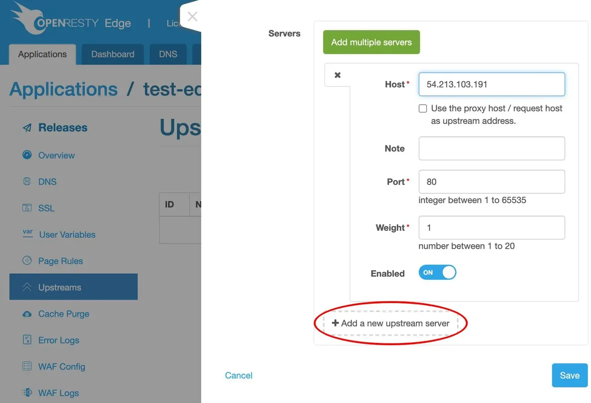 Set up a Simplest Reverse Proxy and Load Balancer_java_21