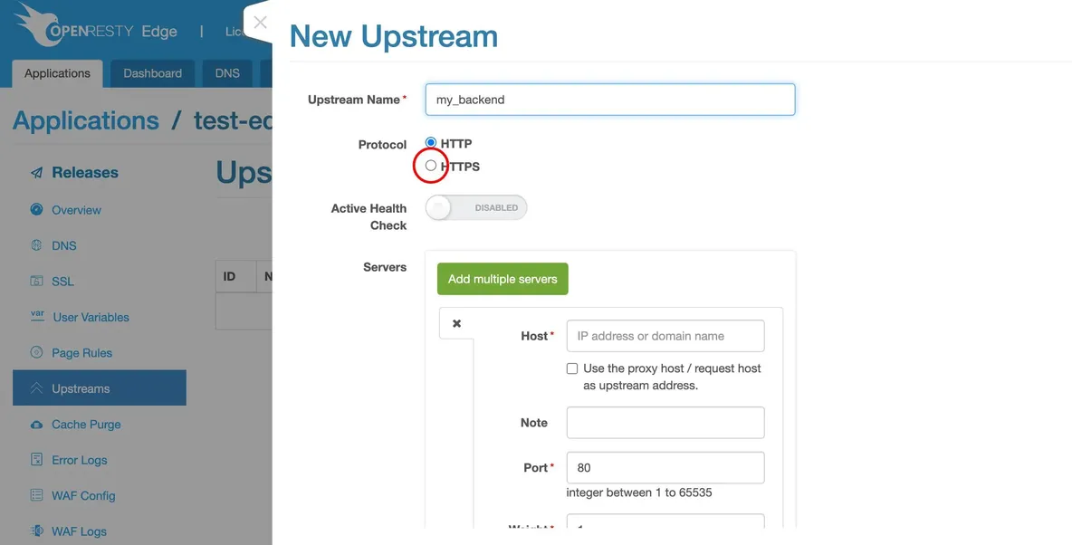 Set up a Simplest Reverse Proxy and Load Balancer_java_15