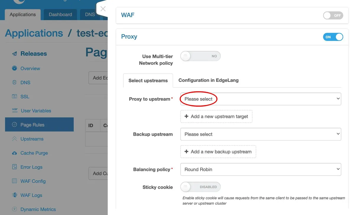 Set up a Simplest Reverse Proxy and Load Balancer_java_30