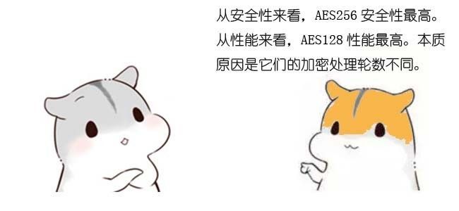 漫画：什么是AES算法？_Java_13