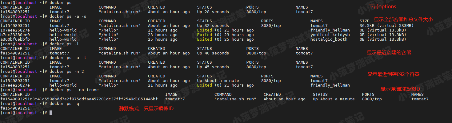 Docker（11）- docker ps 命令详解_Docker教程