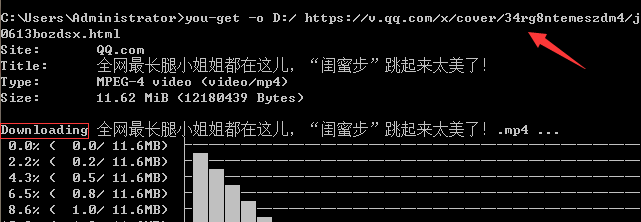 you-get 库的使用方法_开发_04