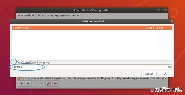 Ubuntu 18.04 安装中文输入法_Ubuntu_10