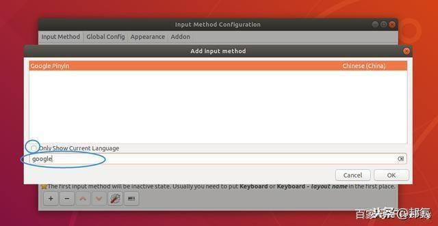 Ubuntu 18.04 安装中文输入法_Ubuntu_10