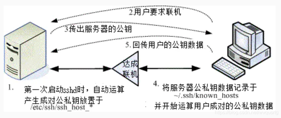 SSH远程连接服务器_服务器_02