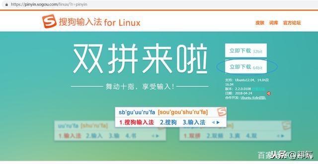 Ubuntu 18.04 安装中文输入法_Ubuntu_15