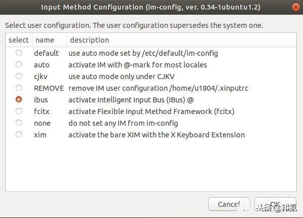 Ubuntu 18.04 安装中文输入法_Ubuntu_04