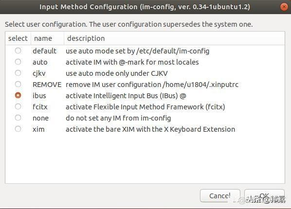 Ubuntu 18.04 安装中文输入法_Ubuntu_04
