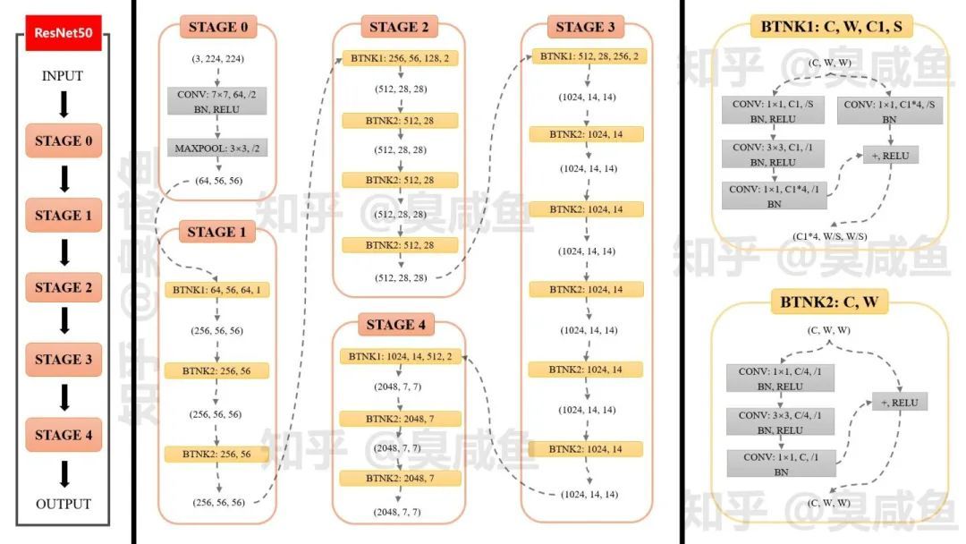 ResNet50网络结构图及结构详解_java