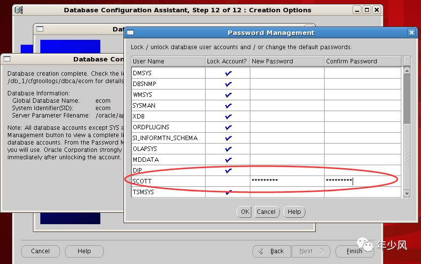 oracle10G_oracle10G_31