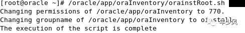 oracle10G_oracle10G_11