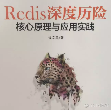 膜拜！这份技术点拉满的Redis深度历险笔记，价值百万_Redis