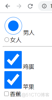 零基础学习CSS(6)——:enabled、:disabled、:checked、:requeired、:optional、:defaul_Html_02