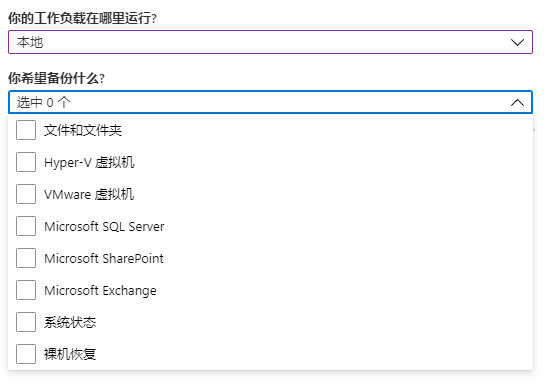 Azure Backup (Azure 备份) 备份虚拟机_经验分享_08