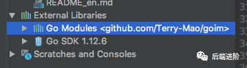 Go Modules踩坑总结_Java_03
