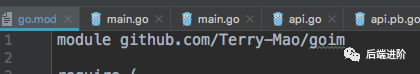 Go Modules踩坑总结_Java