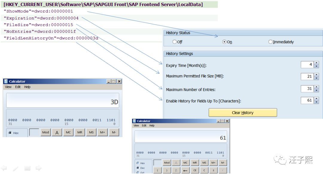 SAP GUI和Windows注册表_java_08