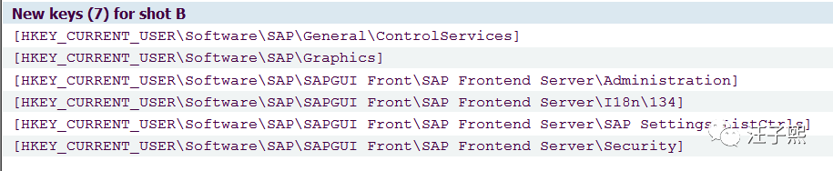 SAP GUI和Windows注册表_java_05