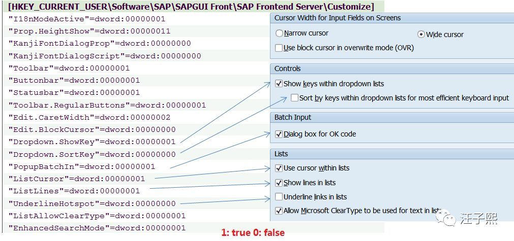 SAP GUI和Windows注册表_java_07