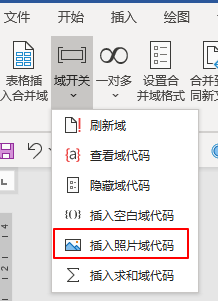 在Word连续的表格中，将几百个人按照名字自动导入照片并能统一照片的大小_邮件合并_05