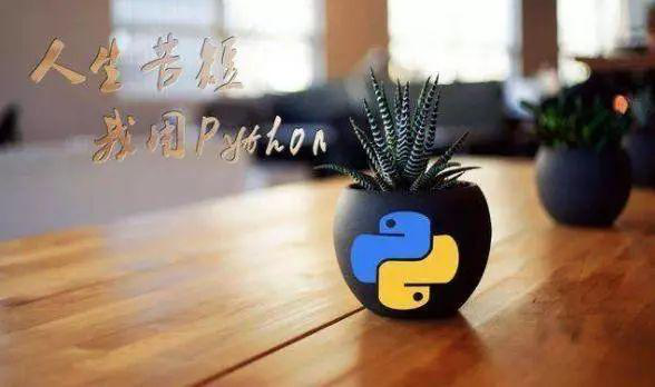 初学者，Python和C语言先学哪个好？ _Python_03