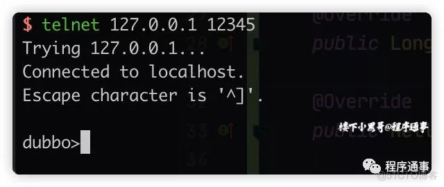 巧用 Telnet 调试 Dubbo 服务_java
