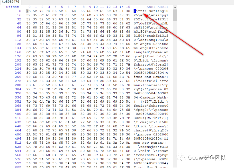 CVE-2017-11882及利用样本分析_渗透测试_68