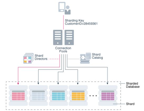 循序渐进：Oracle 12c新特性Sharding技术解读_Java_02