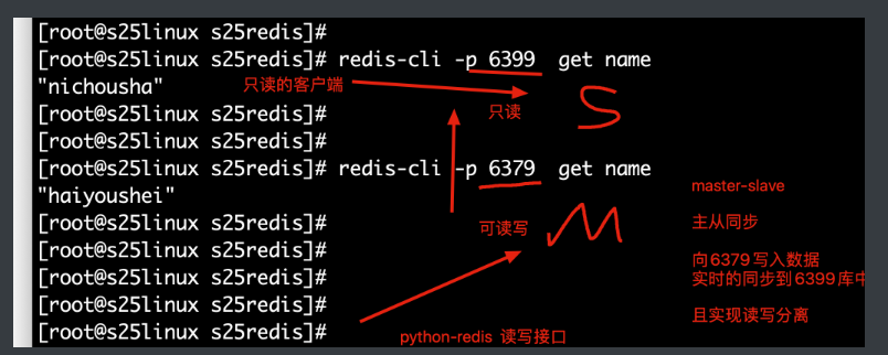 7 Redis部署_Redis