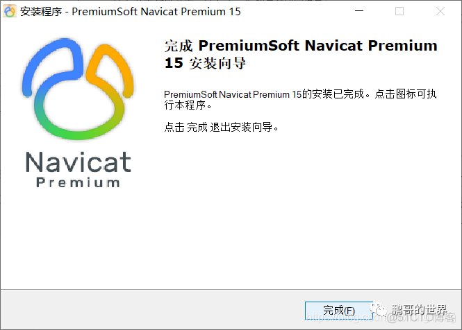 Navicat premium15激活教程_编程_07