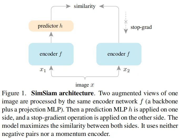 何恺明团队最新力作SimSiam：消除表征学习“崩溃解”，探寻对比表达学习成功之根源_SimSiam_02