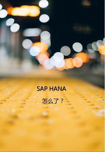 正说：SAP HANA大裁员_SAP文章