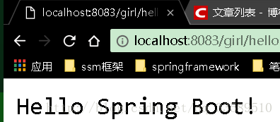 项目属性配置_SpringBoot框架_05