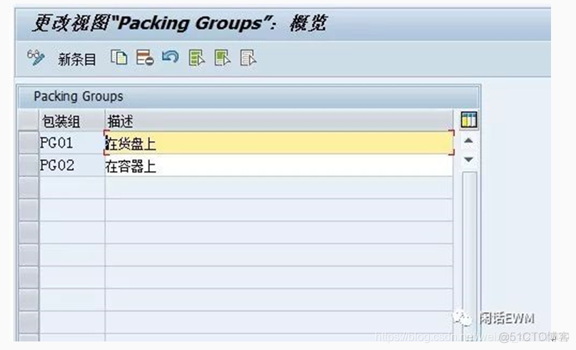 SAP EWM - 物料主数据 - EWM系统包装视图属性_SAP文章_03