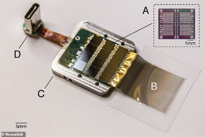 如何评价伊隆·马斯克创办的脑机接口公司 Neuralink ？_人工智能_14