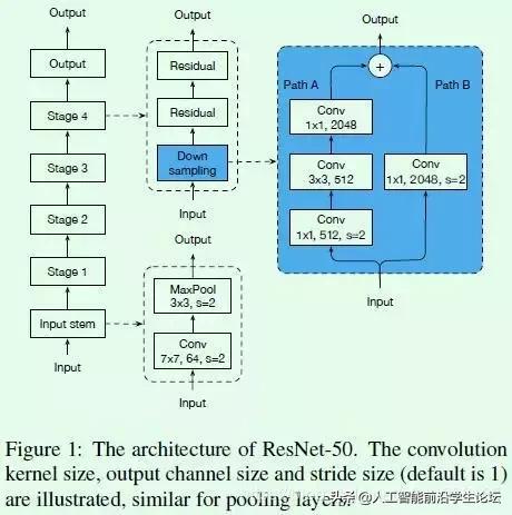 图像分类算法优化技巧：Bag of Tricks for Image Classification_经验分享_05