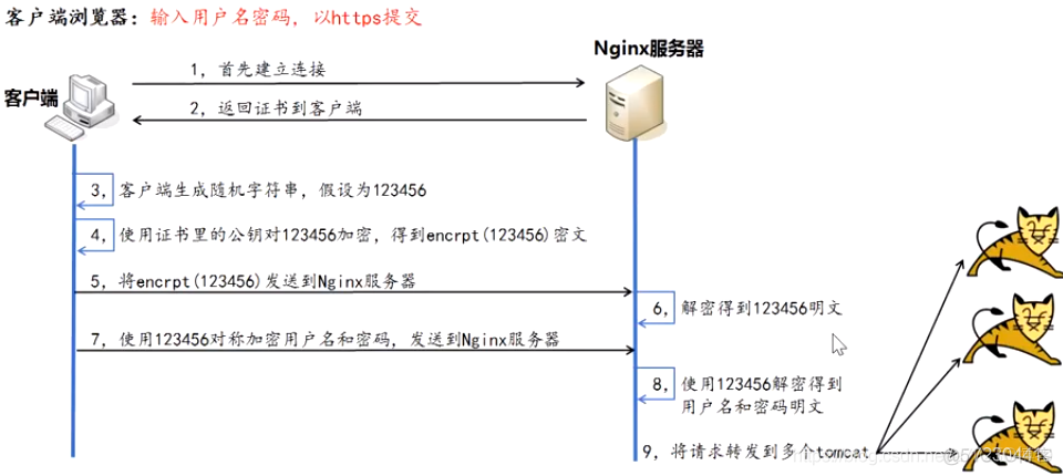 nginx https配置_Nginx_02