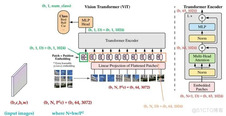 搞懂 Vision Transformer 原理和代码，看这篇技术综述就够了（二）_算法_26