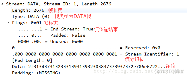 一篇文章带你彻底了解HTTP 2.0_其他_03