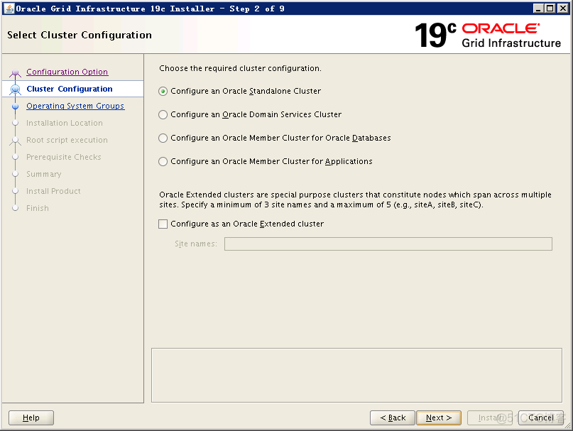 Oracle  19c rac的搭建_经验分享_02