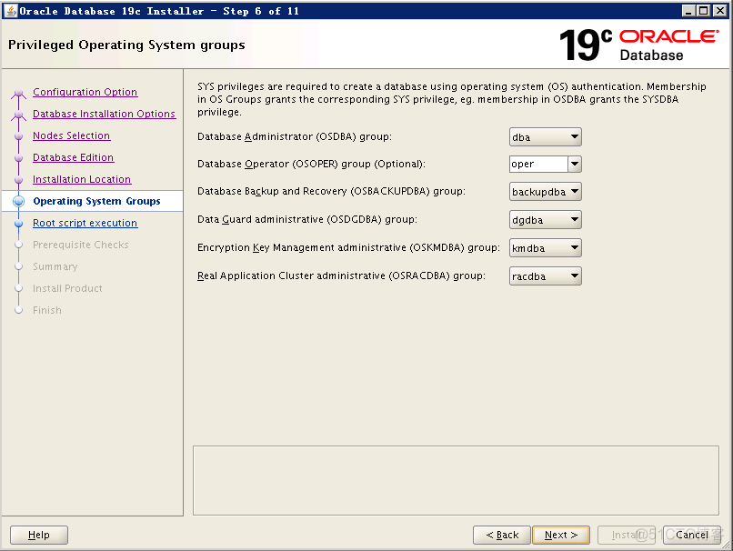 Oracle  19c rac的搭建_经验分享_26