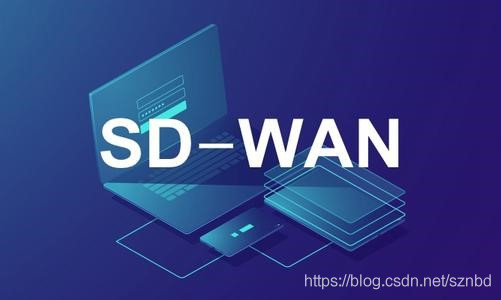 SD-WAN解析_SD-WAN