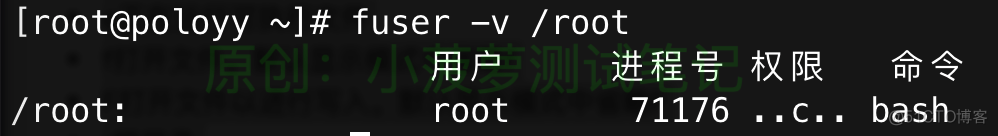 Linux - fuser 命令_经验分享_02