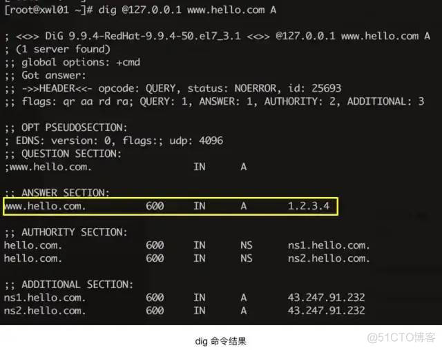 一文搞懂 DNS 基础知识，收藏起来有备无患_分布式_10